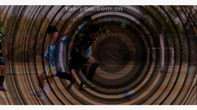 卡片展示电话、邮箱和地址，方便快速联系。